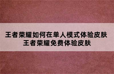 王者荣耀如何在单人模式体验皮肤 王者荣耀免费体验皮肤